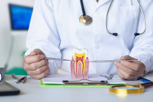 Best Walk-In Emergency Dentist in North Seekonk, MA
